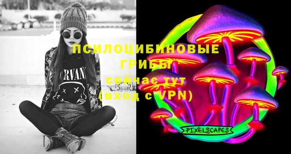 мет Бородино