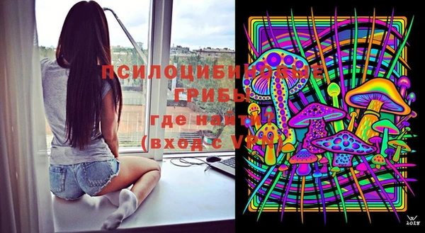 мет Бородино