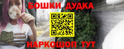 индика Бийск