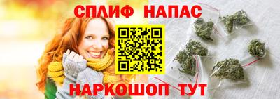 индика Бийск