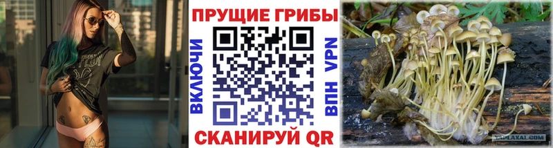 hydra вход  Белебей  Псилоцибиновые грибы GOLDEN TEACHER  продажа наркотиков 