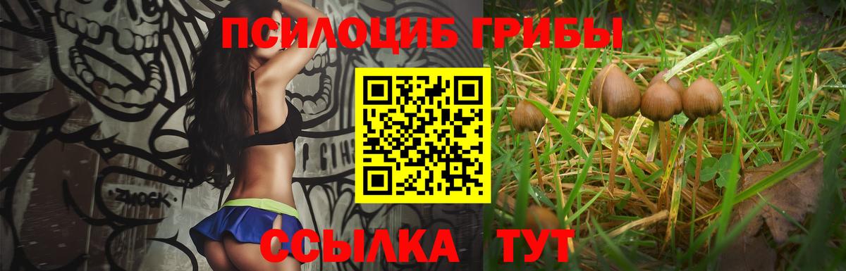 Галлюциногенные грибы Cubensis Белебей